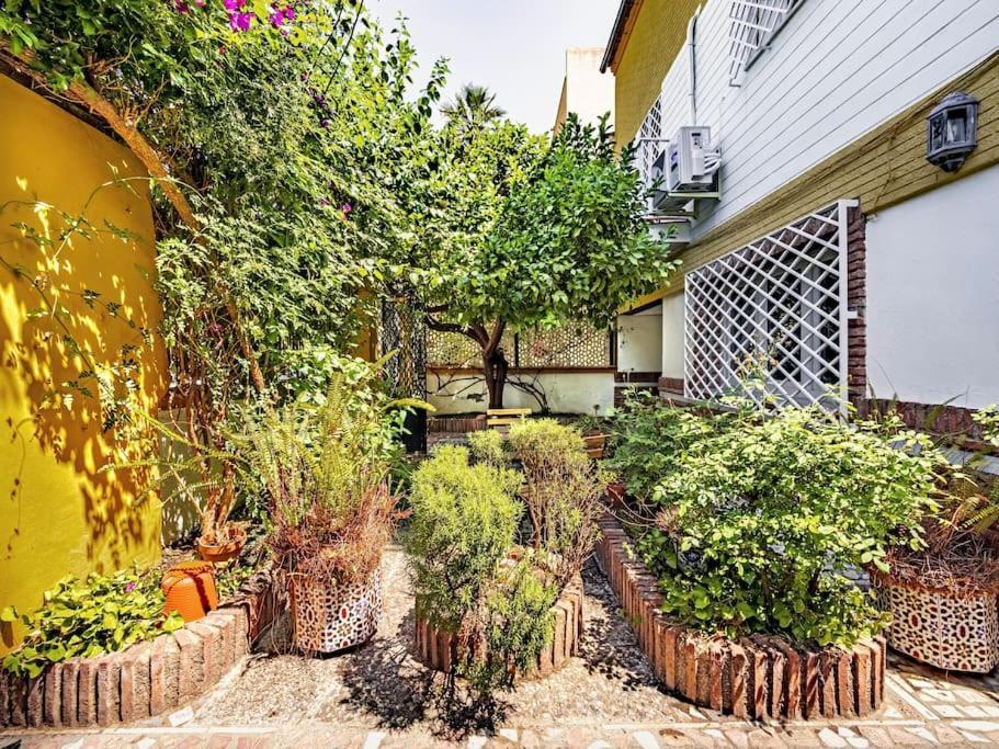 Casa Limonero Con Parking Gratis Junto A Centro Historico Villa Granada Luaran gambar